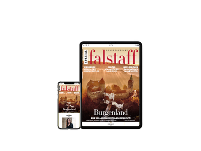 E-Paper Falstaff Special Burgenland 2021