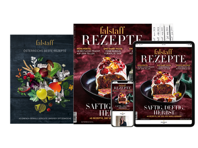 4 x FALSTAFF RECIPES PRINT & DIGITAL + Falstaff cookbook "Austria's best recipes"