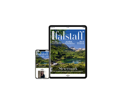 E-Paper Falstaff Special Styria 2021