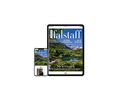 E-Paper Falstaff Special Steiermark 2021