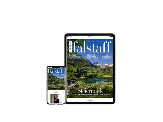 E-Paper Falstaff Special Styria 2021