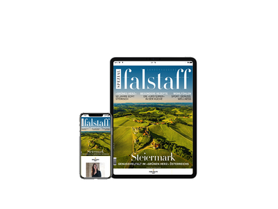 E-Paper Falstaff Special Steiermark 2022