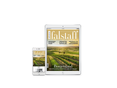 E-Paper Falstaff Special Burgenland 2019